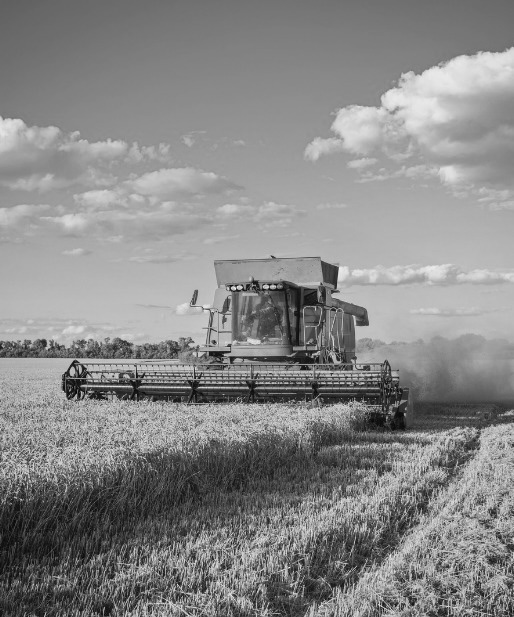 Agriculture and Fishing